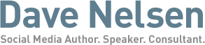 Dave Nelsen Logo